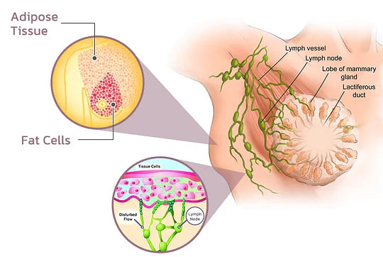 Front button Buckle Sleep Bra for women (Pack of 3)